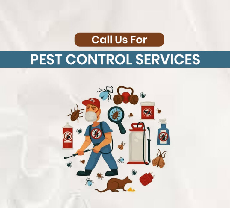 Where Do We Operate? Best Pest Control in Vancouver Pesthub