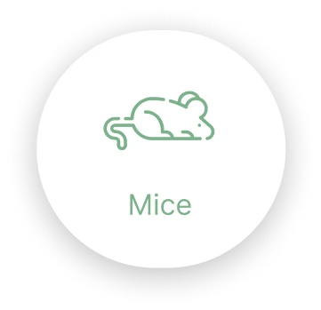 Mice