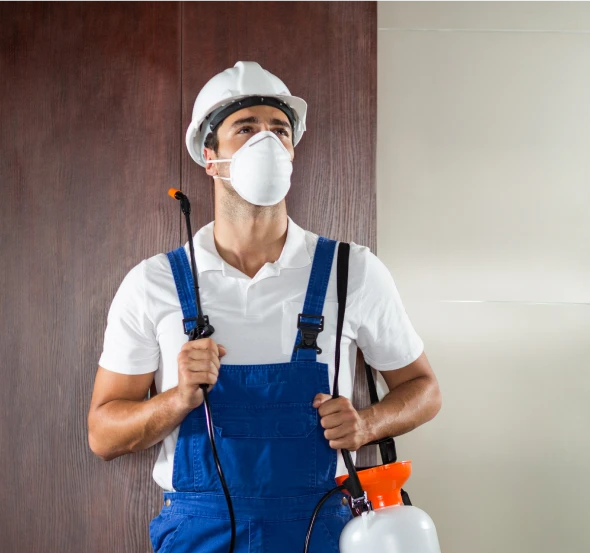 Pest control worker spraying