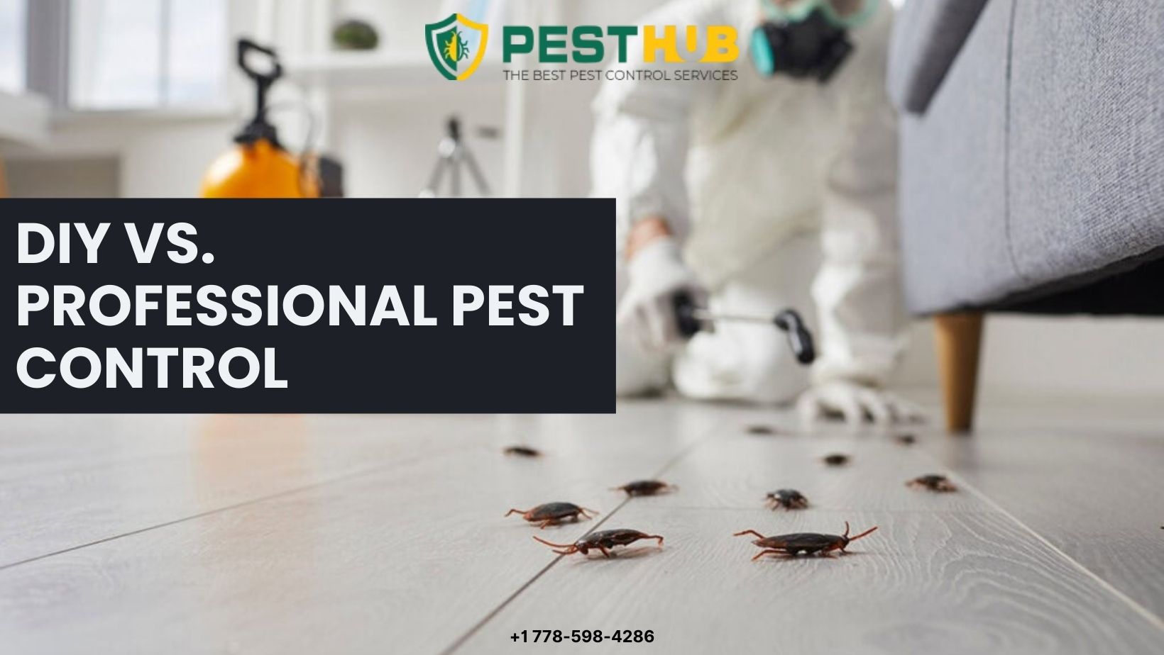 diy vs professional pest control
